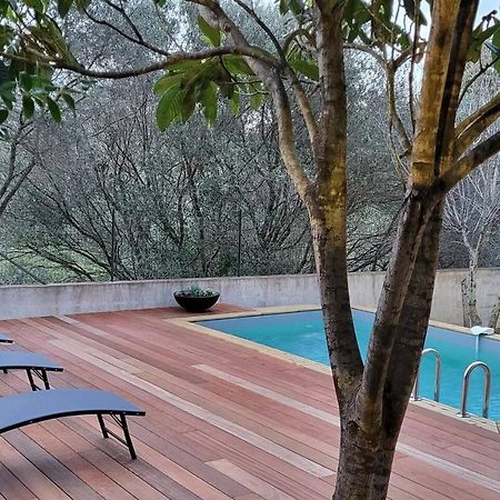 Casa Marcelli 4 Leilighet Porto-Vecchio  Eksteriør bilde
